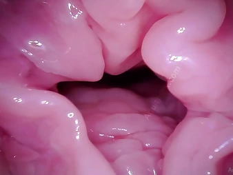 Wait for Muff Coaster's Labia acquire a camera in POV - A hymen fetish video!